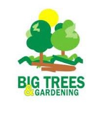 Big Trees